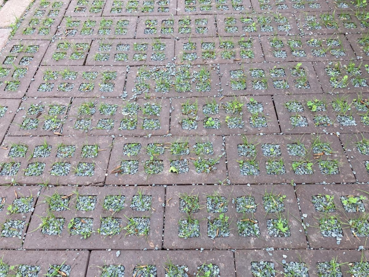 Nijkerk - split en gras.jpg